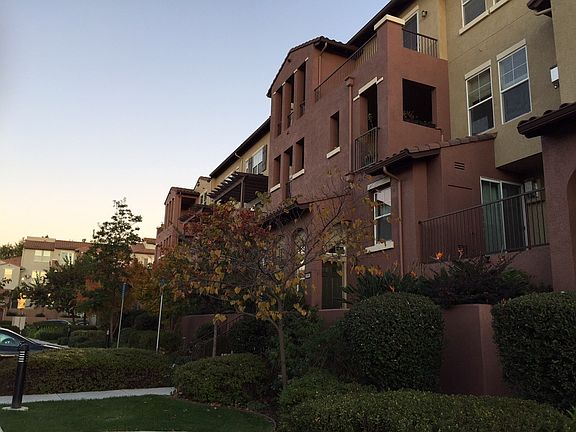 5th image of 1329 Marcello Dr
