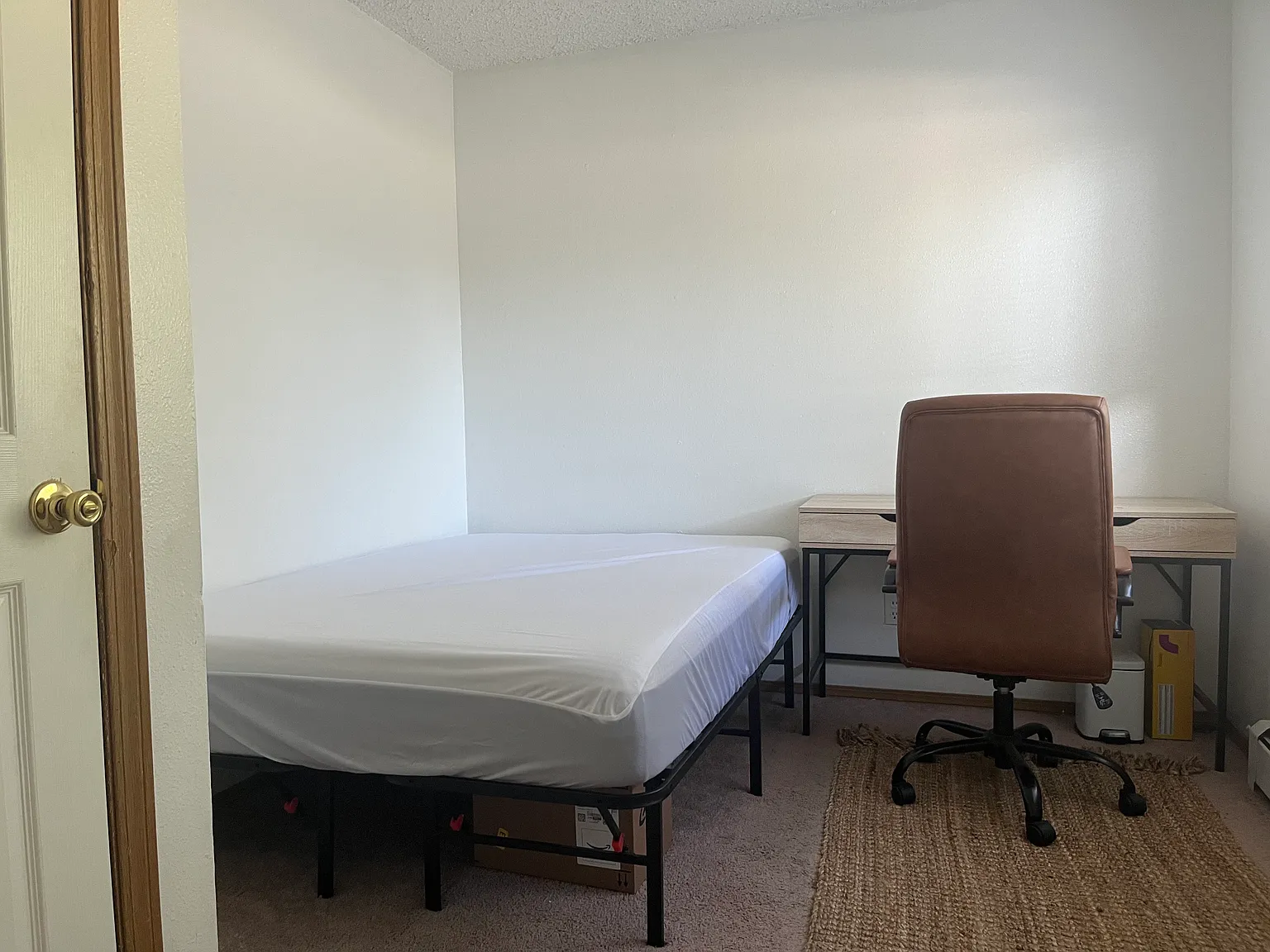1 bed, $1,300 — Photo 3