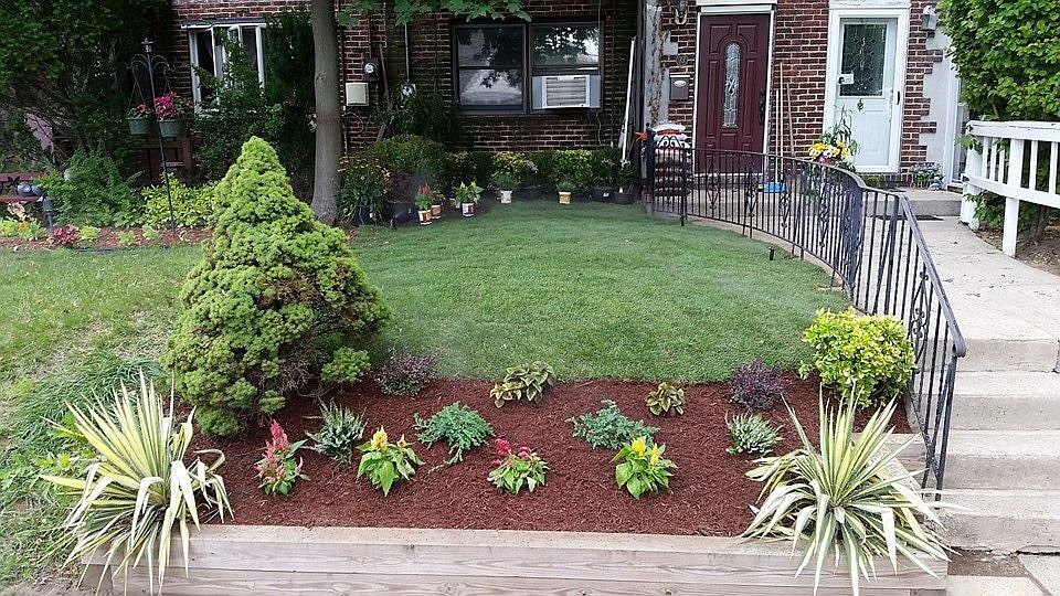 Front yard