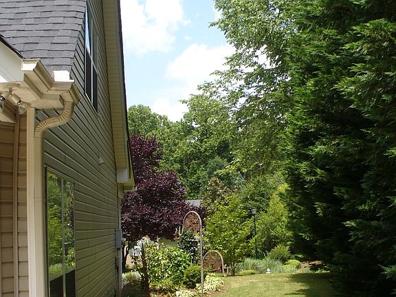 Looking toward street from back side yard
