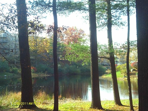another angle of the pond view from this building