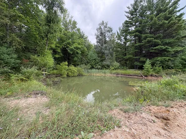 5 Mile Rd, Morley, MI 49336