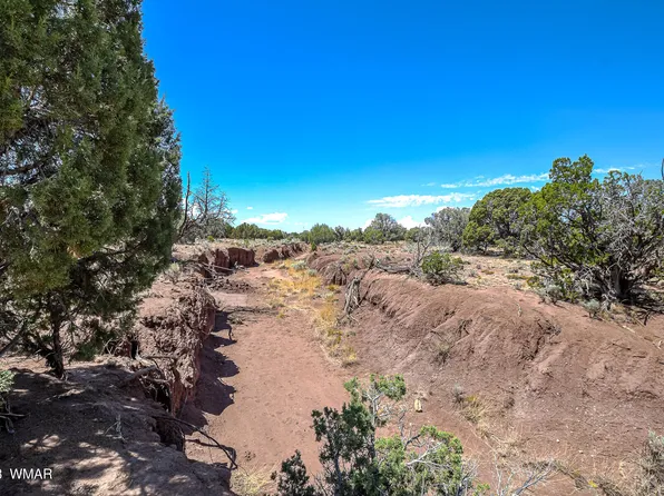 Xx #N9191, Concho, AZ 85924