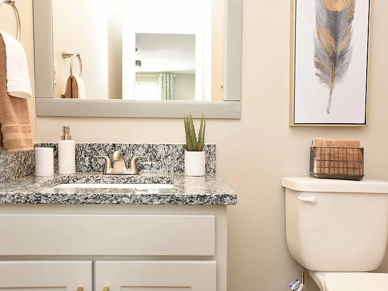 Granite Counters