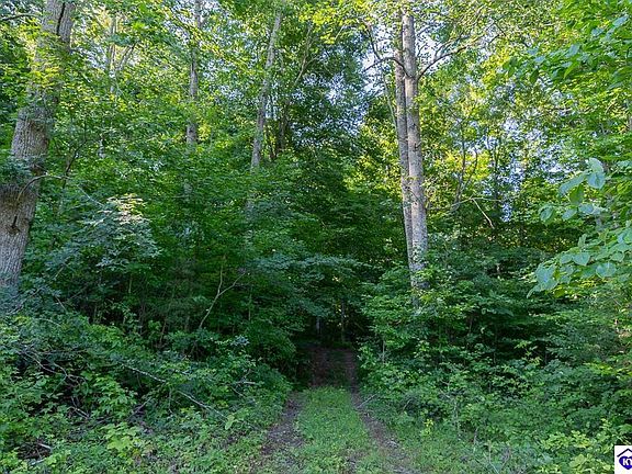 3rd image of LOT 4 Perkins Ln