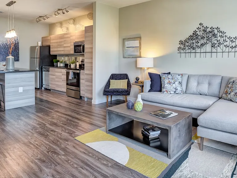 The Nolen Luxury Apartments — Photo 15