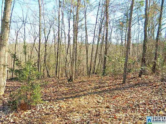4th image of 1113 County Road 40 W