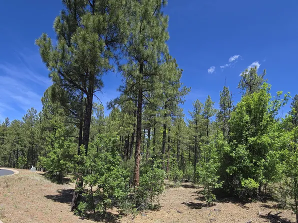 1412 W Big Springs Trl, Lakeside, AZ 85929