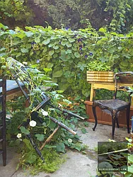 Rented by Highline Residential