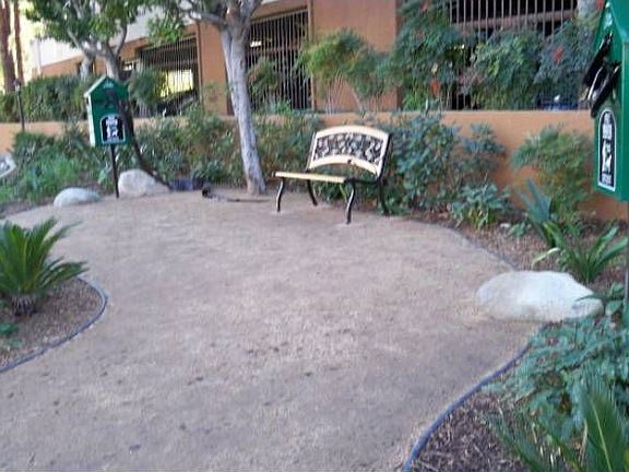 Dog Path