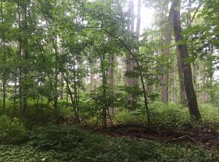 196 Mt Jack Rd, Elmira, MI 49730