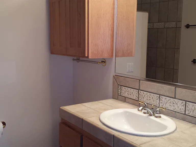 1301 Big Soldier Ct — Photo 11