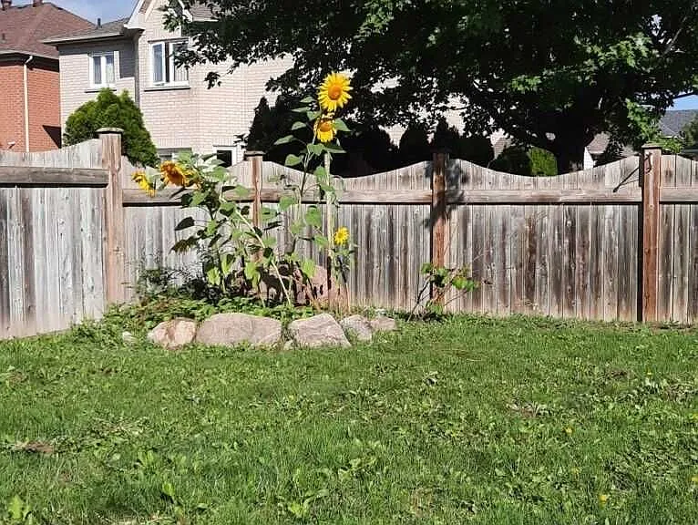8 Headford Ave #LOWER — Photo 10