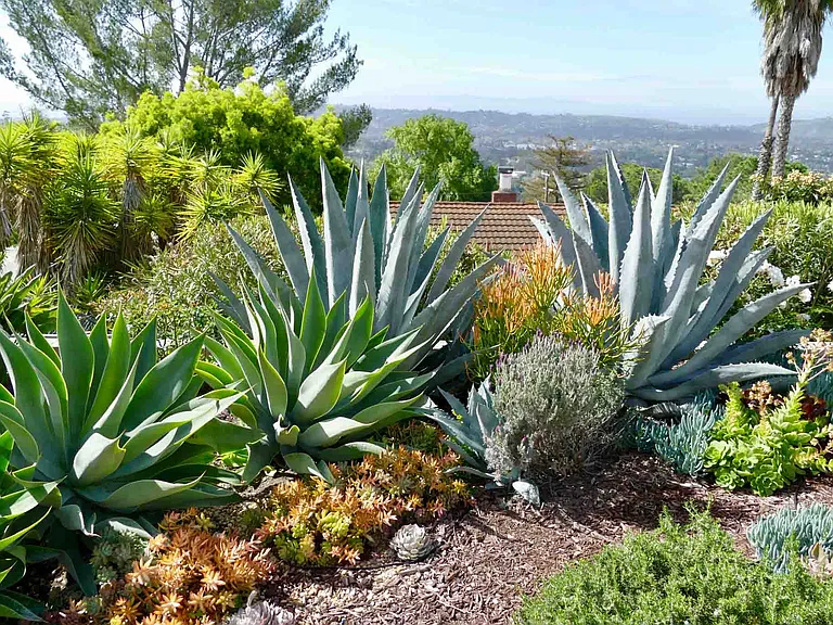 2825 Ben Lomond Dr — Photo 10