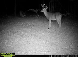 0 Us Highway 84, Prentiss, MS 39474