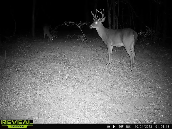 0 Us Highway 84, Prentiss, MS 39474