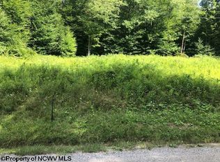 Beulah Rd, Glady, WV 26268