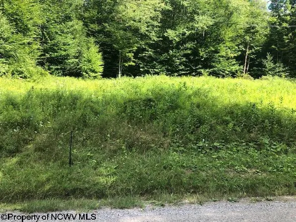 Beulah Rd, Glady, WV 26268