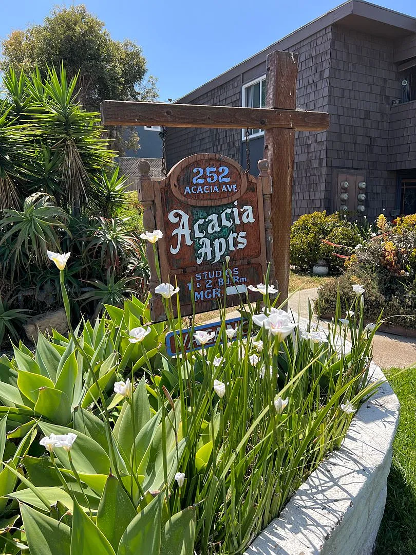 Sea Chase (Acacia Avenue) — Photo 3