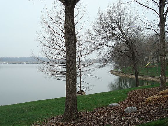 Lake front view