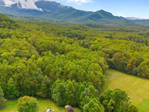 0 Mountain Laurel Way, Cosby, TN 37722