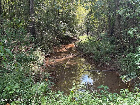 3rd image of State Highway 41
