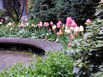 Courtyard garden in the Spring