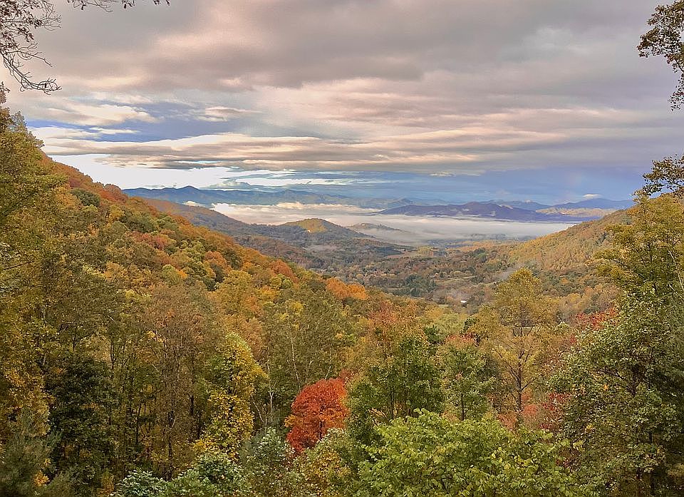 Fall views from top of lot