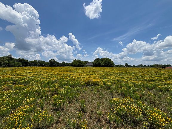 4th image of 3834 Fenley Flat Rd