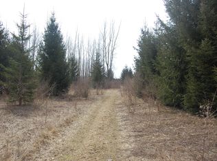 Lyle Rd, Beaverton, MI 48612