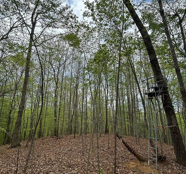 1st image of 0 Mockingbird Ln