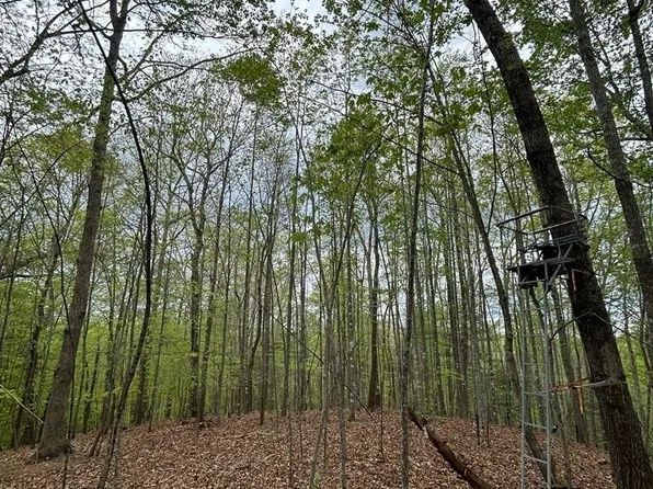 0 Mockingbird Ln, Bassett, VA 24055