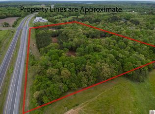 0 Palestine Church Rd #80, Dexter, KY 42036