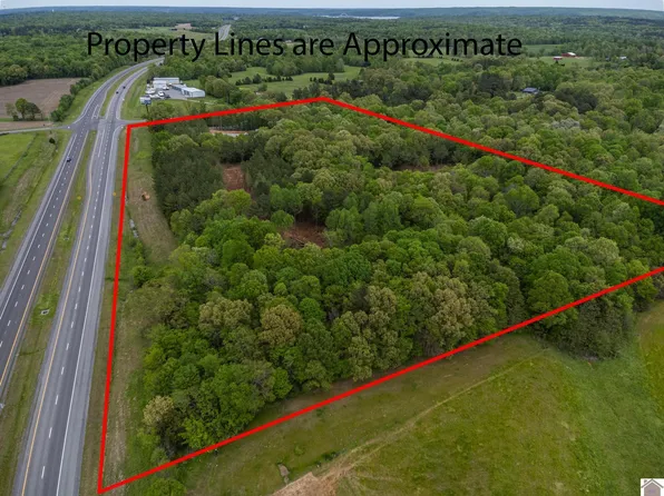 0 Palestine Church Rd #80, Dexter, KY 42036