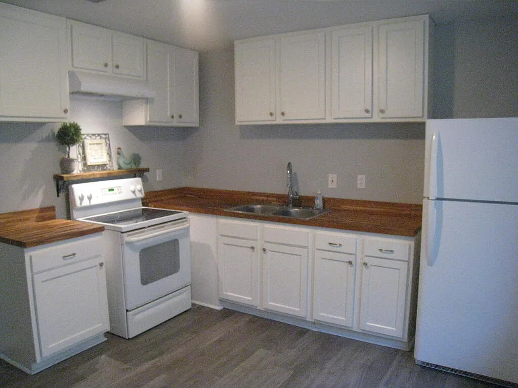 3 bed, 1.0 bath, $1,100 — Photo 3