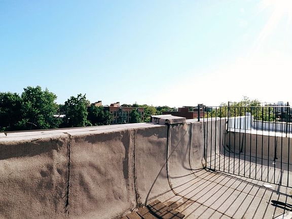 4th image of 267 Kosciuszko St APT 4