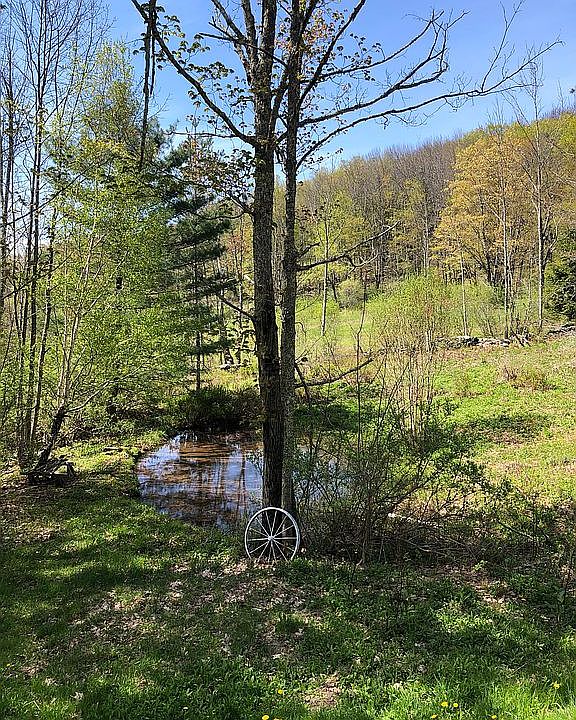 1st image of 136 Blackberry Ln