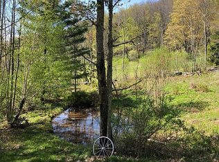 136 Blackberry Ln, Denver, NY 12421