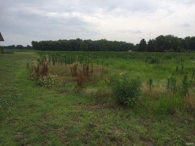 0 S Route Hwy #4, Gillespie, IL, 62033