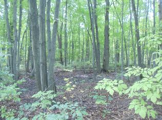 0000 Frushour Drive Vacant Lots, Holly, MI 48442