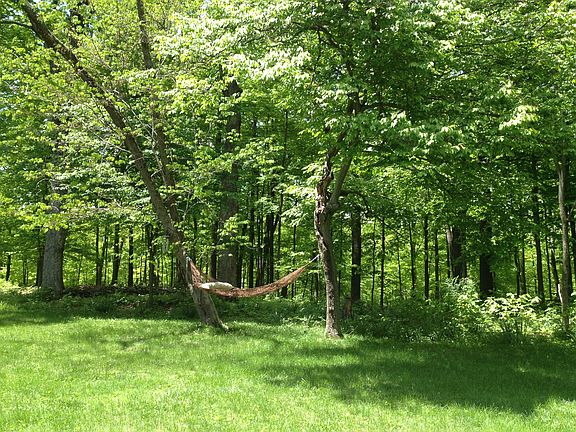 3rd image of 864 Quailwoods Dr