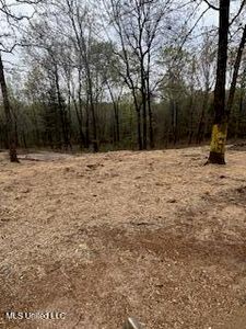 957 Roberson Ln #43, Batesville, MS, 38606