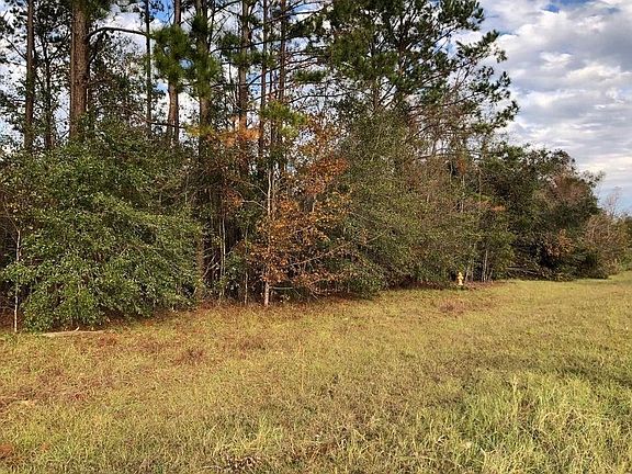2nd image of 103 Graves Springs Rd