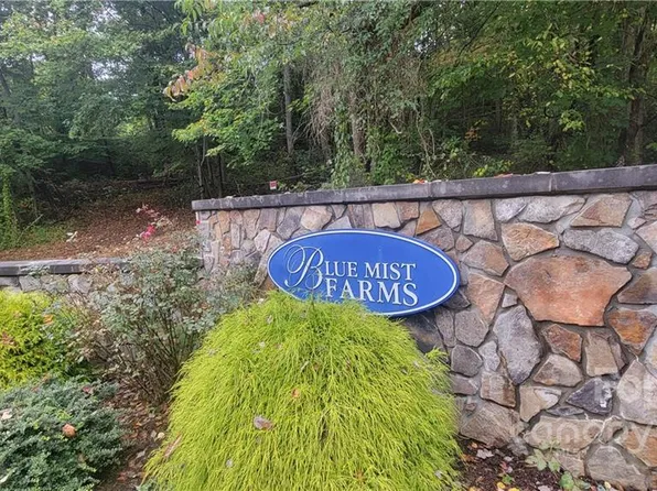 21 Early Spring Way #54, Leicester, NC 28748