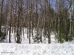 1st image of 1 River Road