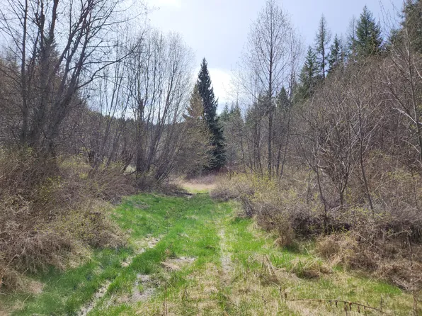 23 Halls Corner Rd, Republic, WA 99166