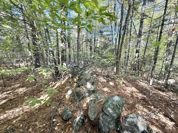 M19 L6-6 Tuell Hill Road, Sumner, ME 04292