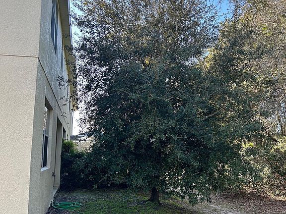 Private backyard with mature tree for shade