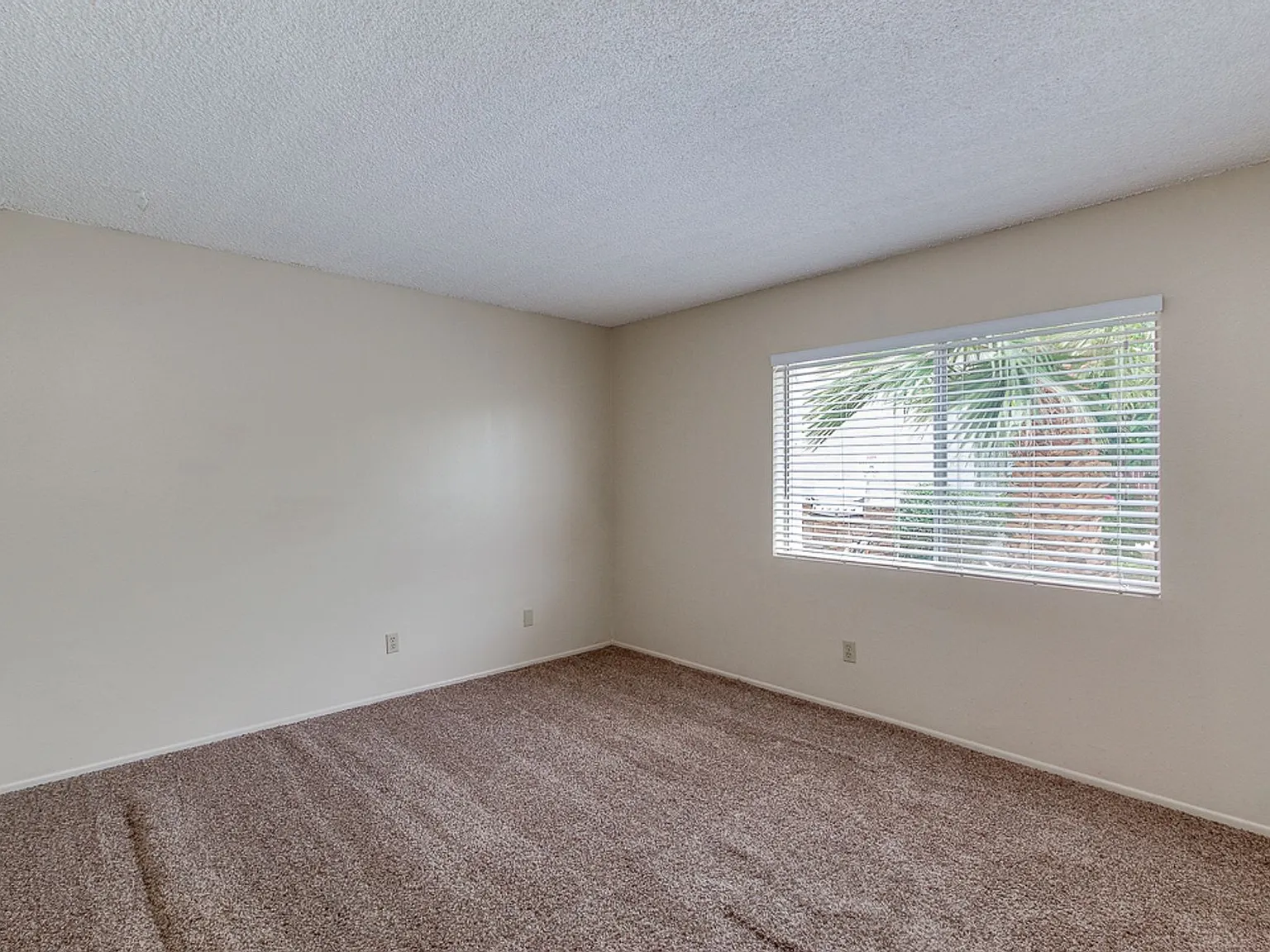 $500 off move in, Ready for Immediate Move in! — Photo 4