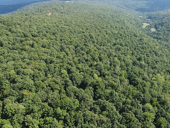 2nd image of 1202 Liberty Rd